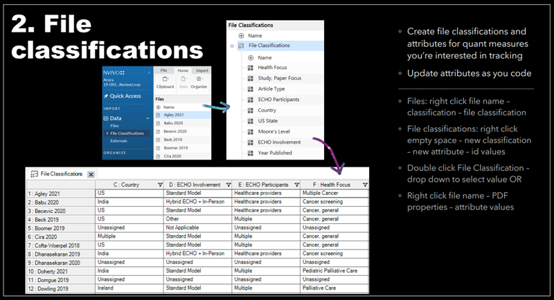 NVivo File Classifications for Project ECHO