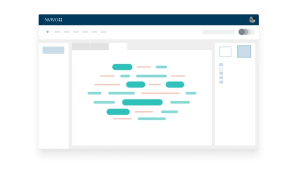 NVivo - Image 5
