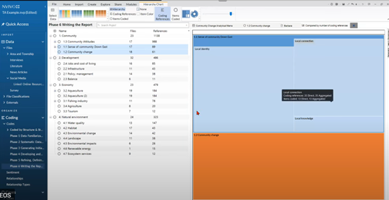 Phase 6: Hierarchical chart in NVivo for thematic analysis.