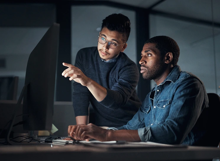 Program portfolio management 